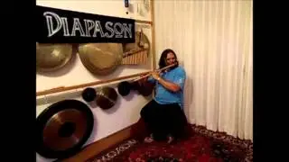 Instrumenten van Diapason, deel 3: Bansuri
