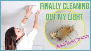 Cleaning Out My Light Fixture - Goodbye Roaches!!