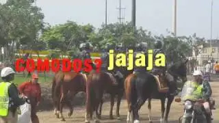 TU TRISTE REALIDAD CABRO!