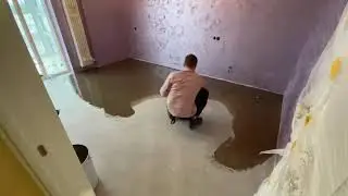 Пол орхидея.