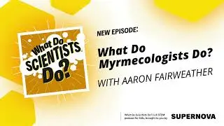 Amazed by ants: Bugging out with Dr. Aaron Fairweather