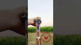 Стрельба одной рукой из горизонталки 