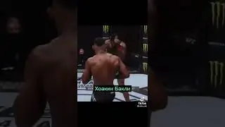 Самые красивые нокауты в ufc 