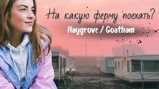 Работа в Англии | На какую ферму поехать? | AC GOATHAM | Сбор яблок | Кемпинг GRIFFINS | Ферма Готэм