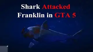 GTA 5 | Shark Attack on Franklin | Out of the Map