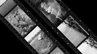 My First Roll of Lomography Lady Grey 400 (Fomapan 400), in the Nikon F3