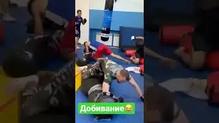 Мма тренировка. Добивание в партере. 