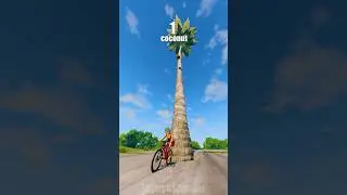 Coconuts Fall on Cars 🌴🥥