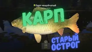 Русская рыбалка 4 (РР4) оз. Старый Острог КАРП
