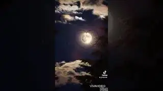 #КУТМАН