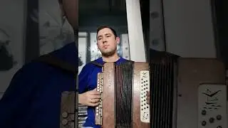 Отчего так в России берёзы шумят Любэ кавер под гармонь