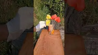 Кольорові кавуни))