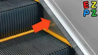 r/Whatisthisthing · perhaps what is this?