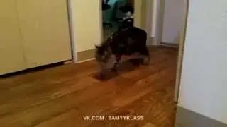 Я не пил! Честно