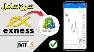 كيفية ربط حساب Exness مع MetaTrader 5 للمبتدئين | دليل شامل للتداول