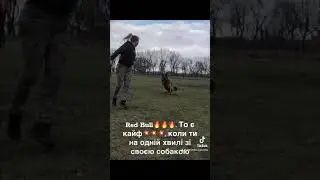 Ред Бул🔥🔥🔥 