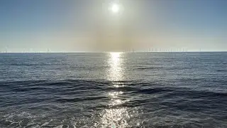 Annual Trip to the Seaside