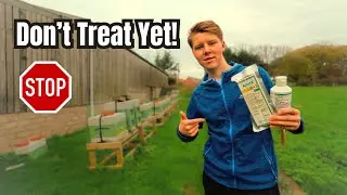 Don't Treat Your Bees Yet!