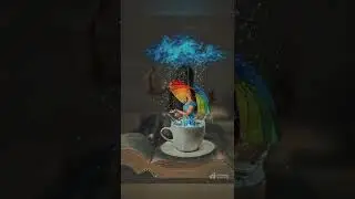 Ensaio Alice no País das Maravilhas