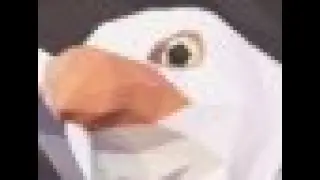 bird up