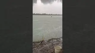Рыбалка на сома! На Кубани! #shorts #short #fishing