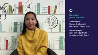 SARS-CoV-2 Vaccine Development