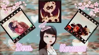 Переписка «День Котиков»🌷 | Мультсериал Леди Баг 🐞