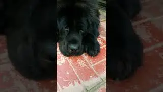 Жорик, мой Жорик