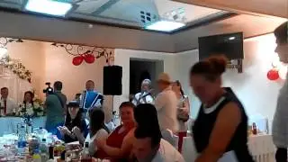 тамада віджигає на весіллі