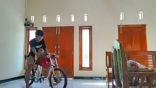 Story wa herex Tiger viral ⚡