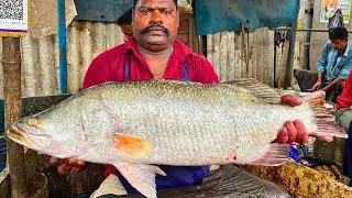 KASIMEDU SPEED SELVAM ORIGINAL KODUVA FISH CUTTING VIDEO CUTTING FOCUS