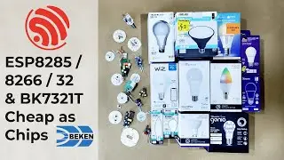 You Won't Believe What We Found Inside Of These $2 Lightbulbs!
