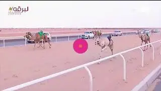 ش4 جوف لـ صاحب السمو الملكي الأمير تركي بن محمد آل سعود (مهرجان ولي العهد 11-9-2021) سيف الحيل مفتوح