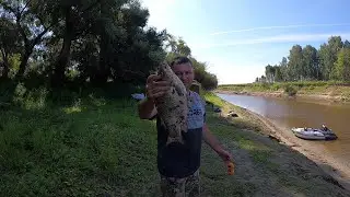 Омь. Лето. Трудовая щука. Карась: великолепная пятёрка