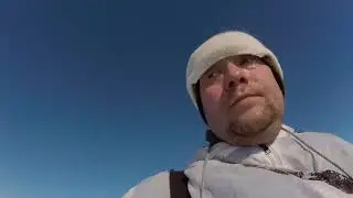 Охота на лис: подход к 4 спящим лисам.
