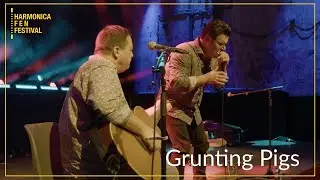 The Grunting Pigs – It's not easy (Official Video HARMONICA F E N FESTIVAL 2022)