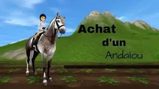Sso-Achat d'un Andalou