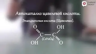 Катализ