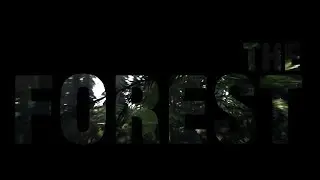Гайд (Как заполучить девушку) =The Forest=