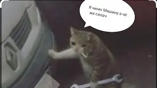 играю в майн сервера