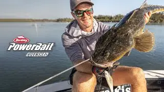 Berkley PowerBait CullShad | The Hunt For Flathead
