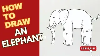 How to Draw an Elephant Easy | Elephant Drawing for Kids