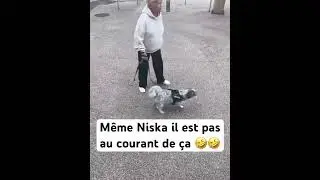 Même Niska il est pas au courant de ça 🤣🤣