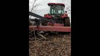 Brush Cutter got Caught on Side of a Tree