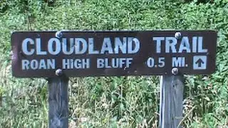 Roan Mountain High Bluff