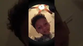 Pedro