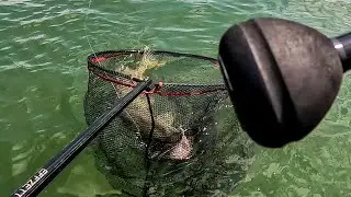 Meter long Pike Big Bait fishing