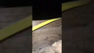 Creature Laughs When Discovered By Homeowner