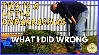 Composting Mistakes I Made: Lessons from My 2016 Pile