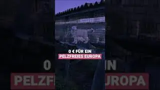 0€ um Tierleid zu stoppen | VIER PFOTEN